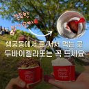 선경자전거 | 갈 때마다 줄 서서 먹는 행궁당 젤라또에서 두바이젤라또랑 리조 다크초코 인기 메뉴 주문 솔직 후기