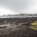 정남 민박 이미지