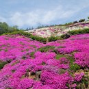 포일숲속마을 입구 | 서울 도심 속 피톤치드 힐링 여행｜봉산 무장애 편백숲 데크길에서의 봄 산책