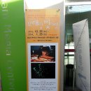 유아체험전 <모래랑 빛이랑> 이미지