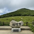 곰배령새소리 | 야생화 천국, 편안하게 걷기 좋은 강원도 숲길 여행, 곰배령 예약 및 후기