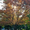 나무벤치 이미지