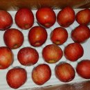 예산 황토사과 ~~~ 착한가격 건강한 사과로 설 준비 하셔요. 이미지