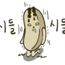 PHO1903 네이버블로그