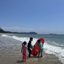 안면도조개구이 | [태안 여행] 안면도 바다수산 : 조개구이 세트(조개+새우), 활어물회 세트 포장 후기