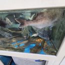 만덕수산 이미지