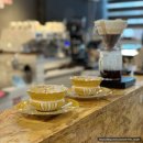 카페디노 | 역삼 스페셜티 카페 알렉산디노 커피 오마카세 후기