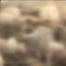 기립농장 이미지