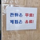 공룡을 좋아하는 어린이의 천국 &#39; 비봉공룡공원&#39;