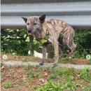 탄천주차장 이미지