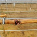 우가농장 이미지