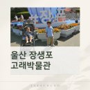 피노키오어린이집 | 36개월 미만 무료입장 울산 장생포 고래박물관 유모차 이동도 편한 나들이 후기