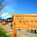 통나무풍경펜션 이미지