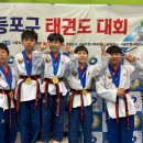 용인대 문래 금강 태권도 이미지