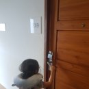 일레븐탁구클럽 | 가성비 가족숙소 썬윙 카말라 리조트 트윈 2+1 체크인, 수영장, 세탁소, 비치주변, 태초클럽 과일서비스