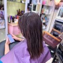 헤어두비취 이미지