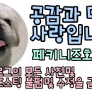 스피드메이트 천안구성점 이미지