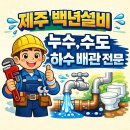 신산리 | 서귀포시 성산읍 신산리 싱크대 수전 벽수전->입수전 공사_ 제주 설비_ 제주 백년설비