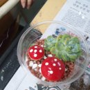 합포여자중학교 이미지