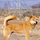 보석광고