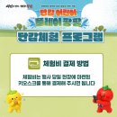 창원단감테마공원 | 창원 단감테마공원 8월 체험 후기 | 나비날개 만들기부터 수박계피 방향제까지, 다음엔 물총놀이!