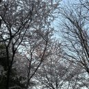 송현공원로 이미지