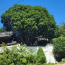 문화공감콘서트 이미지