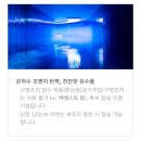 송파 파크하비오 워터킹덤 &amp; 파크하비오 호텔 호캉스 후기(+롯데월드는 덤😉)