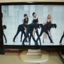 테라글로벌