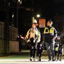 위풍댕댕 이미지