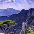 혼저옵서예 이미지