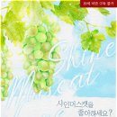 비.샤인