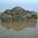 옥석농장 이미지