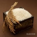 에코한의원 이미지