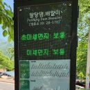 아랫배알미길 이미지