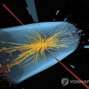 유럽입자물리연구소 "힉스 입자 발견 확실시"(종합) 이미지