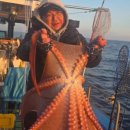 1대물호 이미지