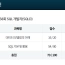 [HD] SQL개발자 (SQLD) 자격증 따기 - 이론 Part.1 | 제58회 SQLD 합격 후기 (책 X, 블로그, 유튜브, Gemini 활용)