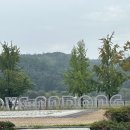 와룡가든 이미지