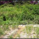 부여주유소 이미지