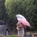 소나기 이미지