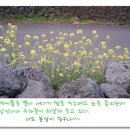 반디농장 이미지