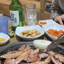 건방진오돌뼈 이미지
