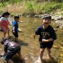 리라숲어린이집 이미지