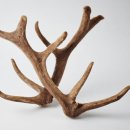 바로세움한의원 이미지