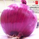 정가건강원
