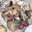 진희식당 - 달서구 | 화성 궁평항수산시장맛집 'B동 44호 진희네' 내돈내산 후기