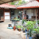 농원민박 이미지