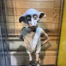 캡틴제주 | 제주 비오는날 가볼만한 곳 ㅣ피규어뮤지엄제주 후기(제주실내가볼만한곳)