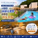 강원도 대형견독채펜션 시원한 야외수영장과 따듯한 히노끼탕을 동시에 즐기는 평창대박이하우스